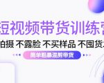 短视频带货训练营：不拍摄 不露脸 不买样品 不囤货发货 简单粗暴混剪带货（第三期）-风淘社
