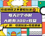 吃瓜项目之不要脸玩法,每天2小时,收益300+(附 快手美女号引流+吃瓜渠道)-风淘社