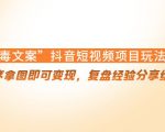 “毒文案”抖音短视频项目玩法，小程序拿图即可变现，复盘经验分享给大家-风淘社