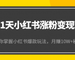 21天小红书涨粉变现营(第4期):带你掌握小红书爆款玩法,月赚10W+秘密-风淘社
