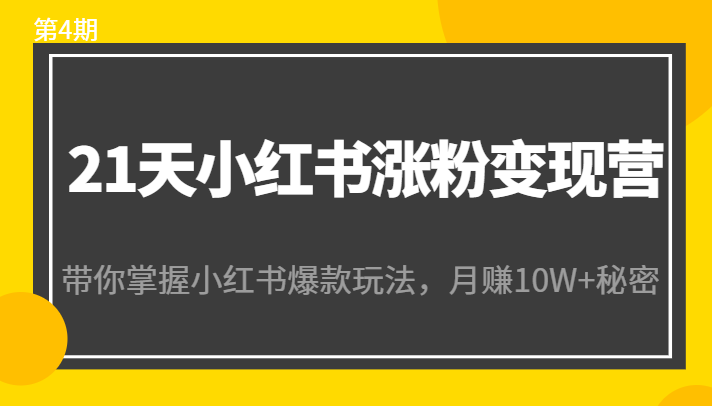 21天小红书涨粉变现营(第4期):带你掌握小红书爆款玩法,月赚10W+秘密-风淘社