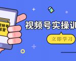 微信视频号实操训练营:视频号起号运营纯干货玩法!-风淘社