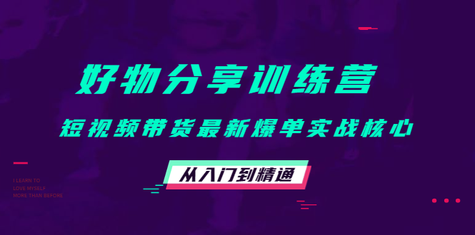 好物分享训练营:短视频带货最新爆单实战核心,从入门到精通-风淘社