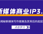 新媒体商业IP3.0,全面揭秘新媒体写作套路及其背后的底层逻辑(价值1299元)-风淘社