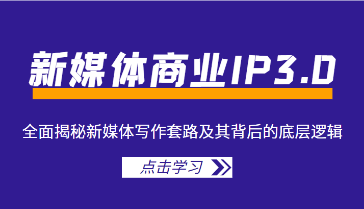 新媒体商业IP3.0,全面揭秘新媒体写作套路及其背后的底层逻辑(价值1299元)-风淘社