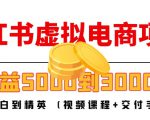 小红书虚拟电商项目:从小白到精英 月收益5000到30000 (视频课程+交付手册)-风淘社
