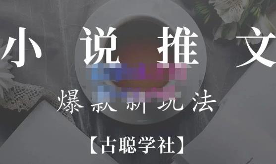小说推文矩阵号群爆单新玩法,引流技巧+爆款实操+矩阵号玩法,百倍效益、百万播放秘笈-风淘社