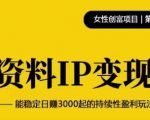 资料IP变现,能稳定日赚3000起的持续性盈利玩法-风淘社