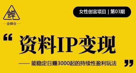 资料IP变现，能稳定日赚3000起的持续性盈利玩法-风淘社