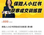 保险人小红书获客成交训练营,0基础高效玩转小红书,可复制的获客成交之路-风淘社