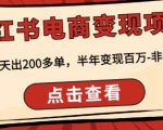顽石·小红书电商变现项目,实测当天出200多单,半年变现百万,非常稳定-风淘社