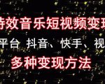 黄岛主《粒子特效音乐短视频变现项目》主攻平台抖音、快手、视频号多种变现方法-风淘社