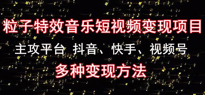黄岛主《粒子特效音乐短视频变现项目》主攻平台抖音、快手、视频号多种变现方法-风淘社