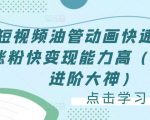 短视频油管动画快速制作涨粉快变现能力高(0基础进阶大神)-风淘社