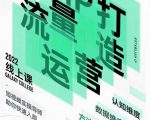 大蓝流量运营&个人ip打造课，短视频带货/爆款文案/流量运营/直播入门/镜头变现/流量商业-风淘社
