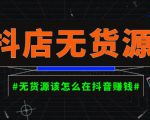 启哥抖店无货源店群陪跑计划,一个人在家就能做的副业,月入10000+-风淘社