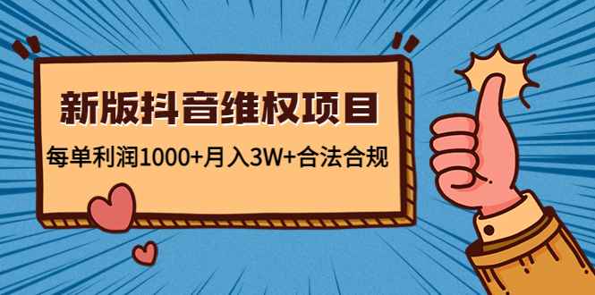 新版抖音维全项目：每单利润1000+月入3W+合法合规-风淘社