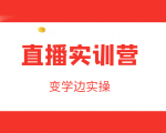 直播实训营,变学边实操,成为运营型主播,拉动直播间人气-风淘社