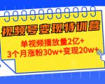 21天视频号变现特训营:单视频播放量2亿+3个月涨粉30w+变现20w+(第14期)-风淘社