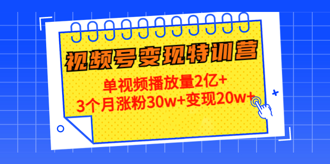21天视频号变现特训营:单视频播放量2亿+3个月涨粉30w+变现20w+(第14期)-风淘社
