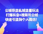 公域导流私域流量玩法:打爆抖音+视频号公域,快速引流到个人微信!-风淘社
