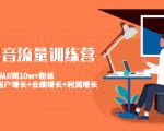 美业抖音流量训练营:从0到10w+粉丝 让你的门店用户增长+业绩增长+利润增长-风淘社