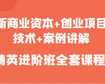 新商业资本+创业项目,技术+案例讲解,精英进阶班全套课程-风淘社