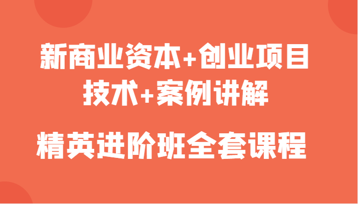 新商业资本+创业项目，技术+案例讲解，精英进阶班全套课程-风淘社