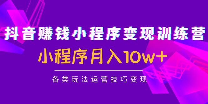抖音赚钱小程序变现训练营:小程序月入10w+各类玩法运营技巧变现-风淘社