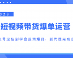 2023短视频带货爆单运营,从账号定位到学会选预爆品,到代理完成出单(价值1250元)-风淘社