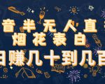 抖音半无人直播烟花表白,日赚几十到几百(教程+视频模板素材)-风淘社