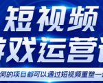 短视频游戏赚钱特训营,0门槛小白也可以操作,日入1000+-风淘社