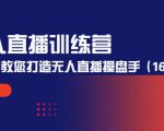 无人直播训练营:手把手教您打造无人直播操盘手(16节课时)-风淘社