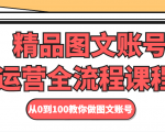 精品图文账号运营全流程课程 从0到100教你做图文账号-风淘社