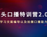 镜头口播特训营2.0版,学习文案编导以及拍摄口播能力(50节课时)-风淘社