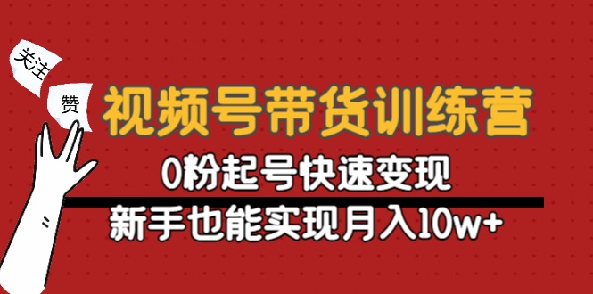 视频号带货训练营：0粉起号快速变现，新手也能实现月入10w+-风淘社
