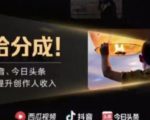 2022年最新中视频变现最稳最长期的项目，一个账号月入几万很简单-风淘社