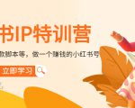 小红书IP特训营:从搭建-制作-爆款脚本等等,做一个赚钱的小红书号-风淘社