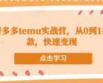 跨境拼多多temu实战营,从0到1打造爆款,快速变现-风淘社