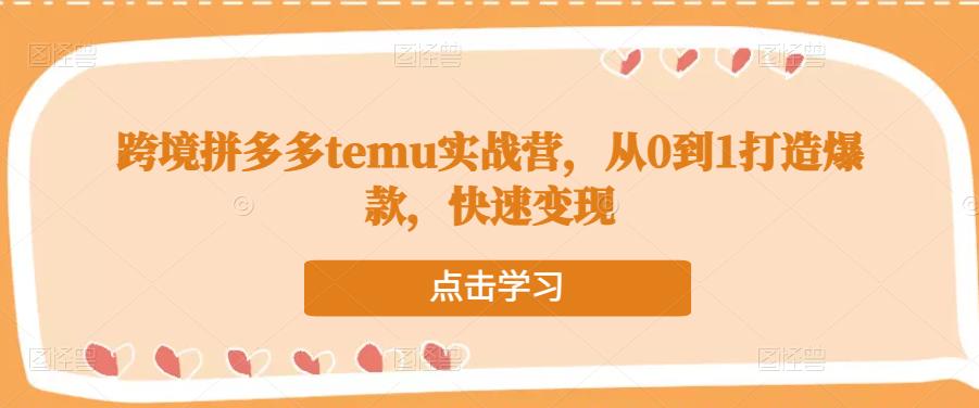 跨境拼多多temu实战营,从0到1打造爆款,快速变现-风淘社
