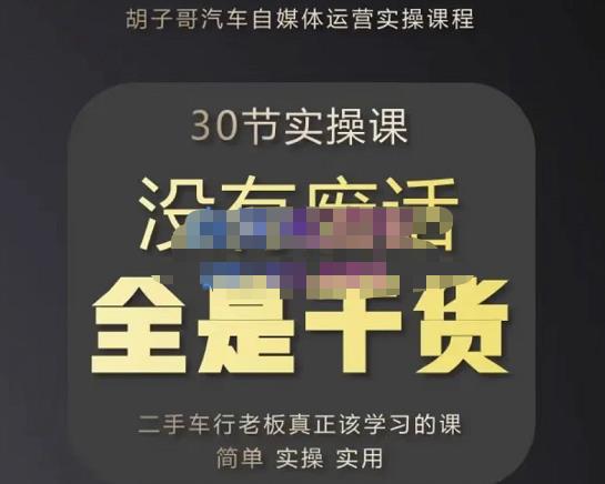 胡子哥·汽车自媒体运营实操课,汽车新媒体二手车短视频运营教程-价值8888元-风淘社