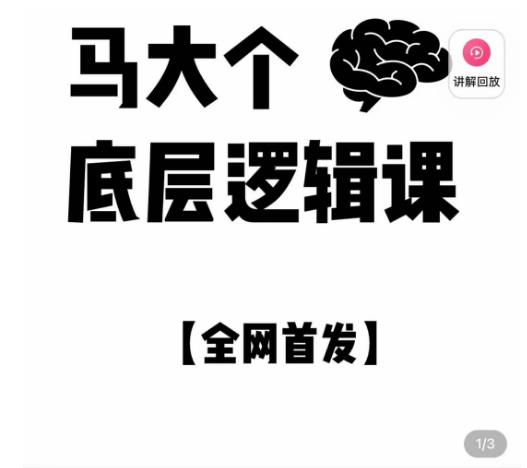 马大个·底层逻辑课,51节底层逻辑智慧课-价值1980元-风淘社