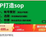 瑶瑶·自然流IP孵化,系统掌握IP孵化全流程,也能学到选题,剪辑,账号运营经验-风淘社