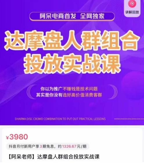 阿呆电商·达摩盘人群组合投放实战课,你以为推广不赚钱是技术问题,其实是你没有选好高价值消费客群-风淘社