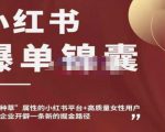 小红书爆单锦囊,自带种草属性+高质量女性用户,为你的企业开辟一条新的掘金路径-风淘社