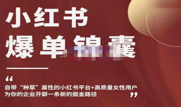 小红书爆单锦囊,自带种草属性+高质量女性用户,为你的企业开辟一条新的掘金路径-风淘社