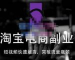 蓝Sir派·淘宝短视频快速起店,替代传统搜索方式,学会做一个不一样的淘宝店-风淘社