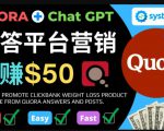 免费推广Clickbank热销商品，每单25.07美元，日赚50美元以上-风淘社