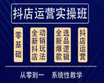 他创传媒·抖音小店系统运营实操课,从零到一系统性教学,抖店日出千单保姆级讲解-风淘社