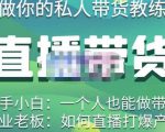 硬核传媒·直播带货(私人教练),实操实战教学,通俗易懂,学完后新手小白一个人也能做带货-风淘社